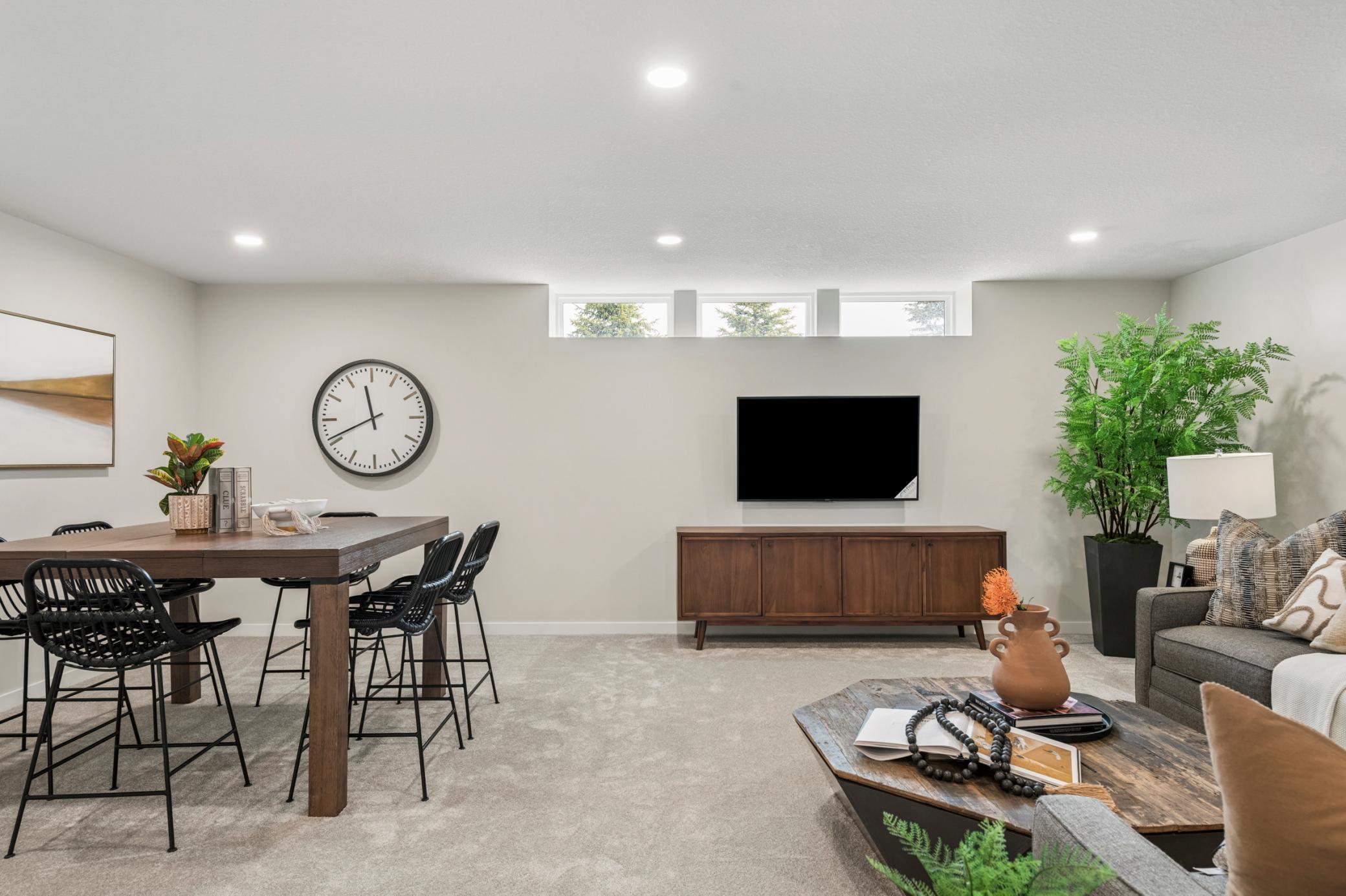 Finished Lower Level