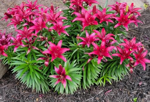 6789 401st Street, North Branch, MN 55056