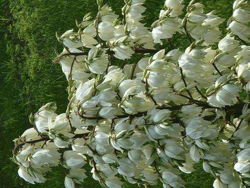 6789 401st Street, North Branch, MN 55056