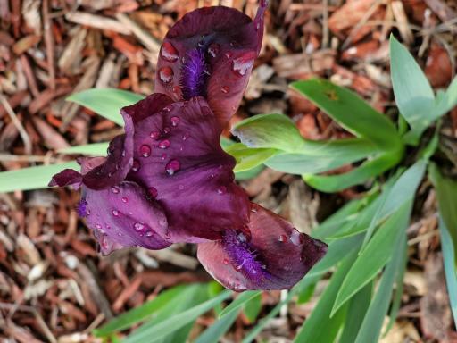 6789 401st Street, North Branch, MN 55056