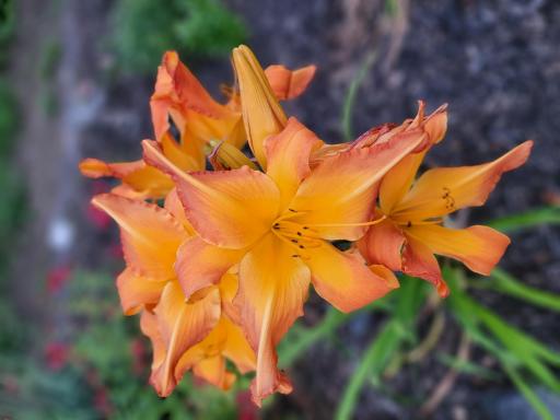 6789 401st Street, North Branch, MN 55056