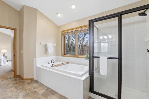 20355 Jupiter Way, Lakeville, MN 55044