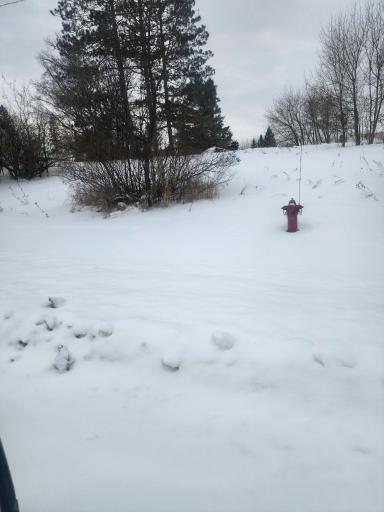 Parker street side.jpg