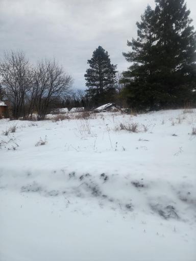 12096 Ramsey Street, Northome, MN 56661