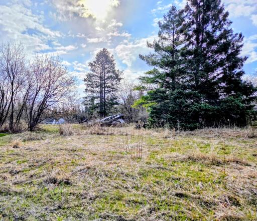 12096 Ramsey Street, Northome, MN 56661