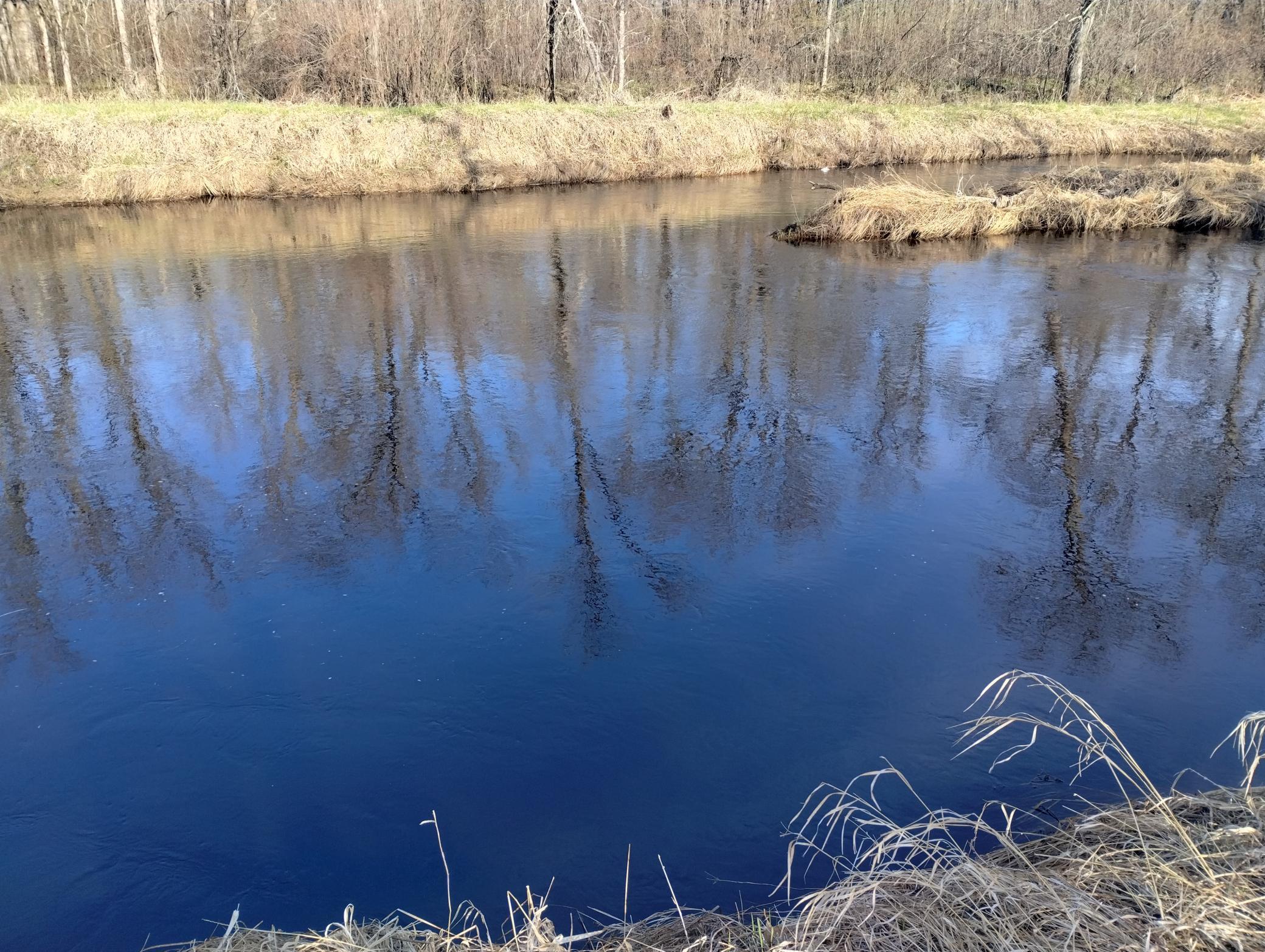 IMG_20260502_085503734_HDR.jpg