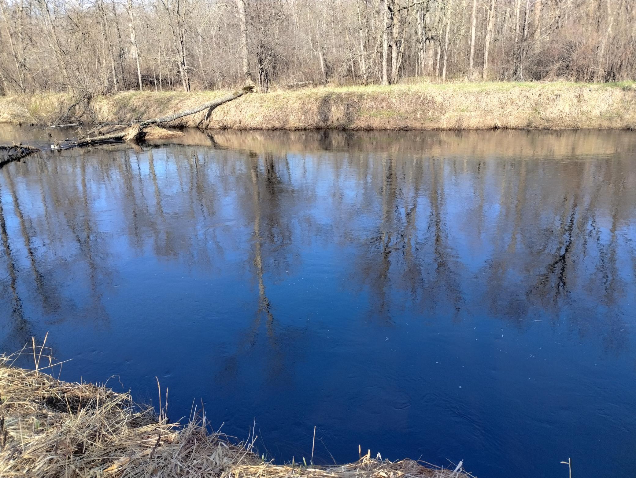 IMG_20260502_085500924_HDR.jpg