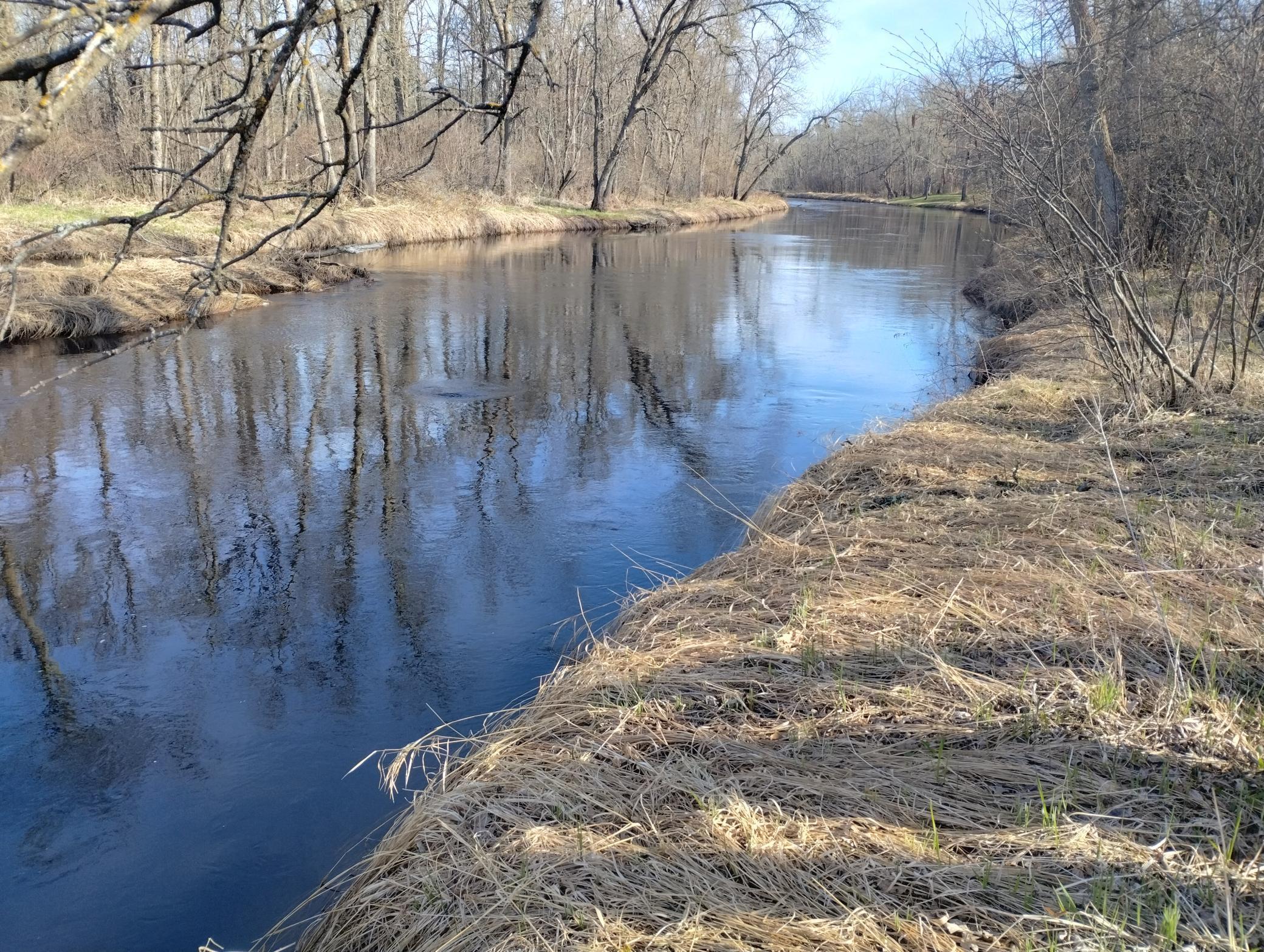 IMG_20260502_085520338_HDR.jpg