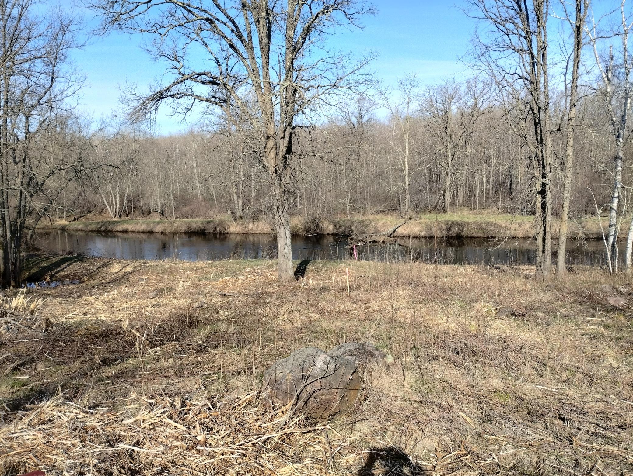 IMG_20260502_085054494_HDR.jpg