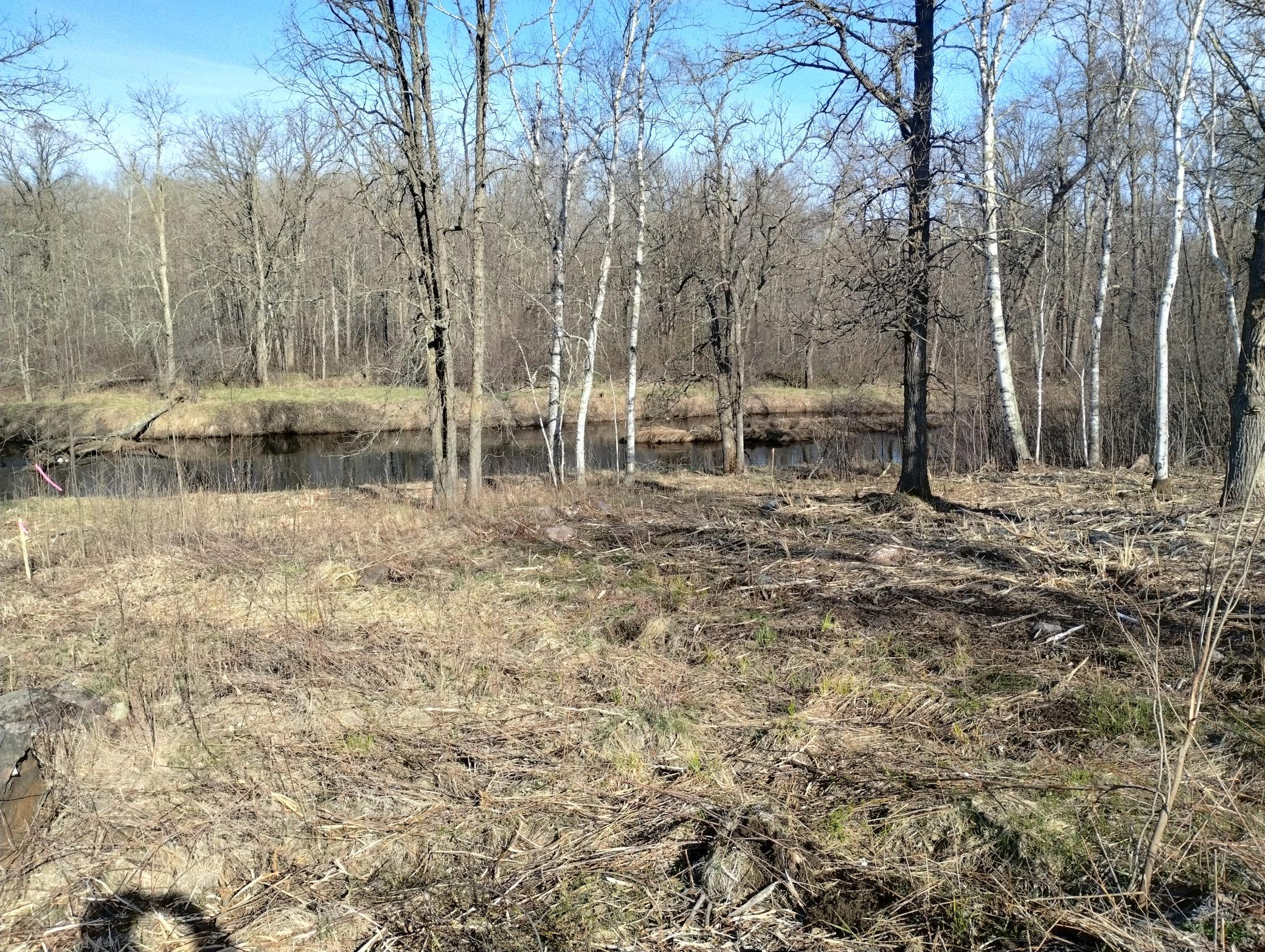 IMG_20260502_085047666_HDR.jpg