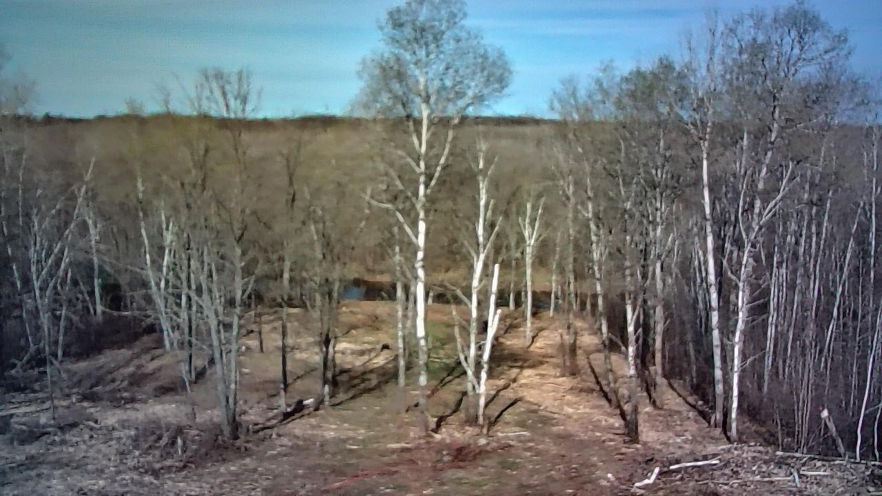 photo_00091.jpg