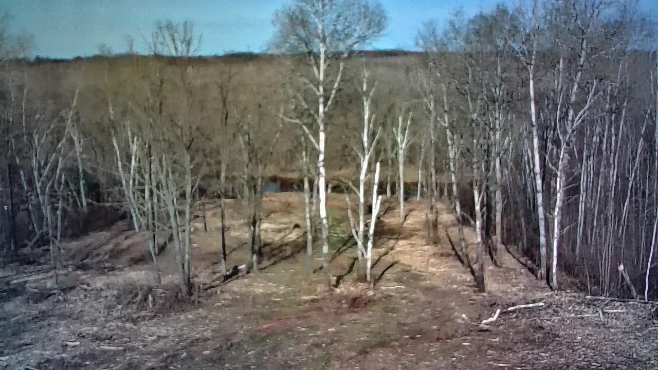 photo_00090.jpg