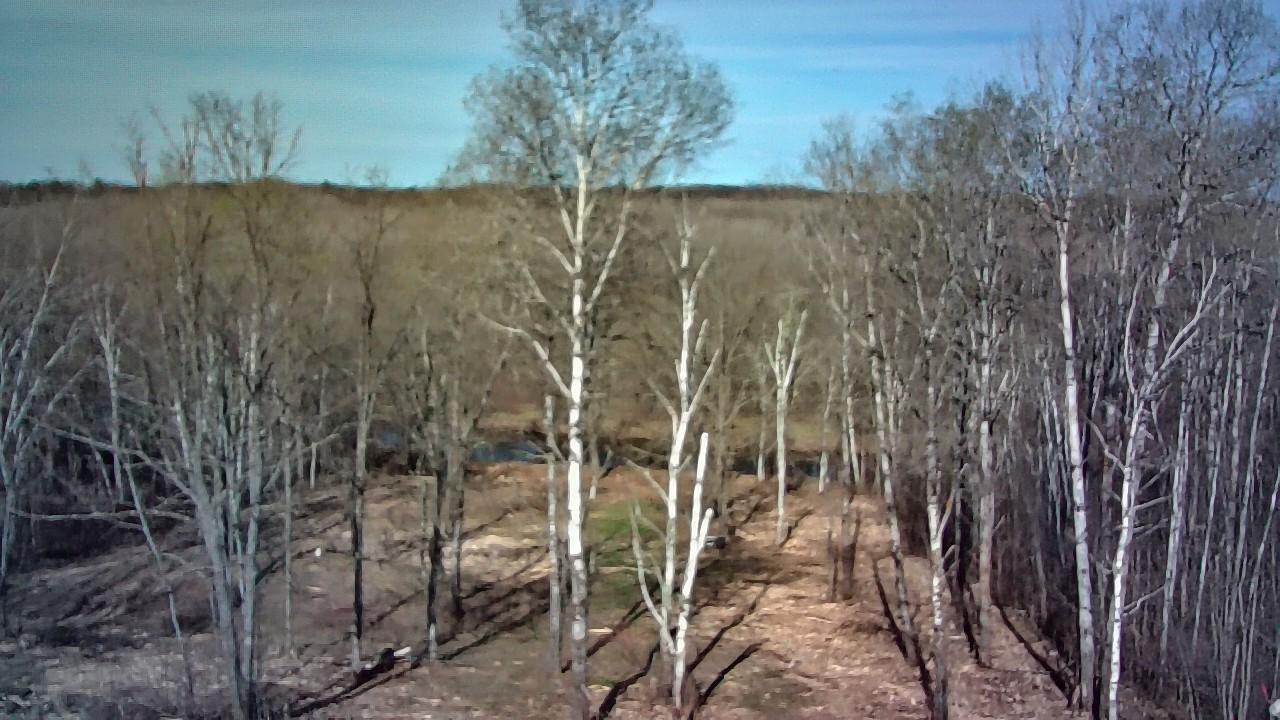 photo_00092.jpg