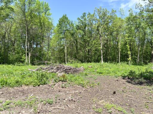 XXXXX Co Hwy 35, Underwood, MN 56586