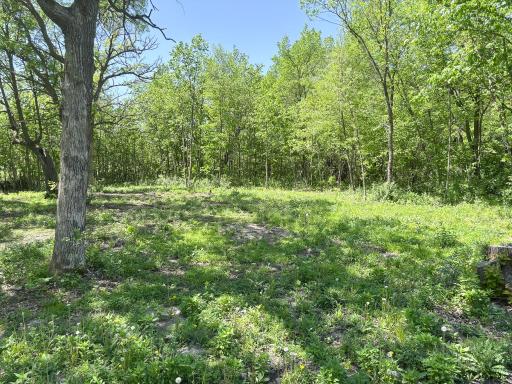 XXXXX Co Hwy 35, Underwood, MN 56586