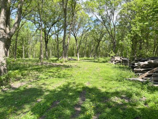 XXXXX Co Hwy 35, Underwood, MN 56586