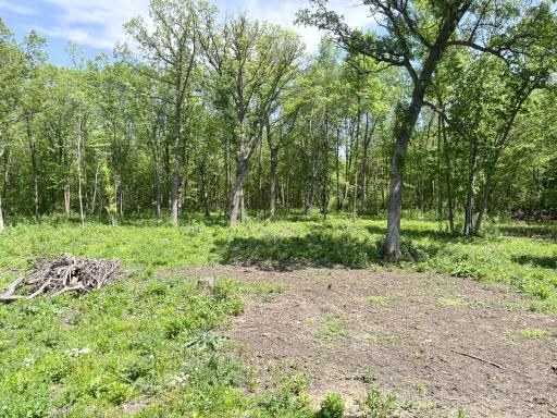 XXXXX Co Hwy 35, Underwood, MN 56586