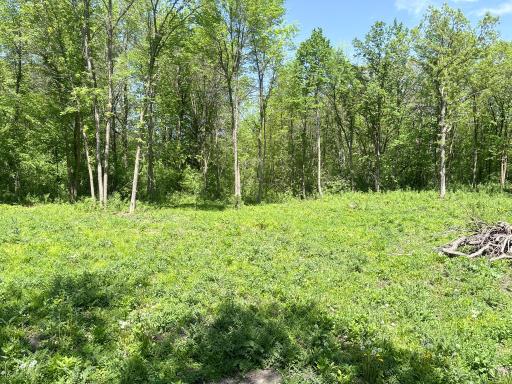 XXXXX Co Hwy 35, Underwood, MN 56586