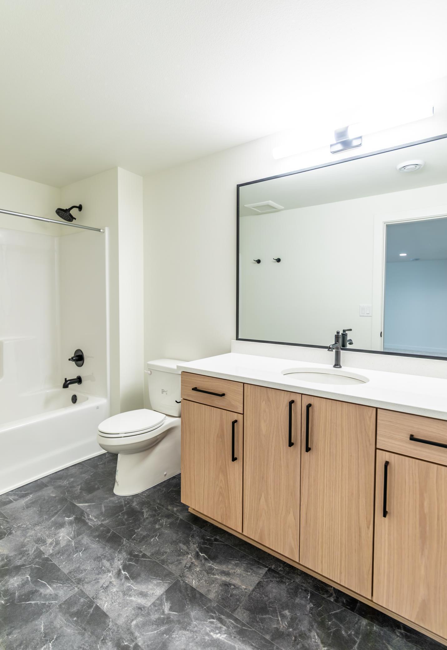 Lower Level Guest Bathroom