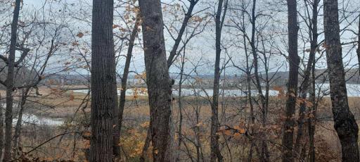 220th 220th Street, Clitherall, MN 56524