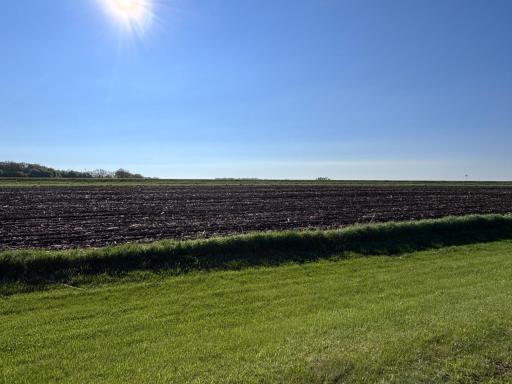 TBD Grandview Rd, Elbow Lake, MN 56531