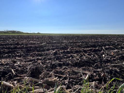 TBD Grandview Rd, Elbow Lake, MN 56531