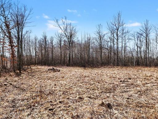 6818 460th Street, Harris, MN 55032