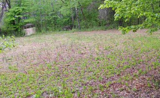 6818 460th Street, Harris, MN 55032