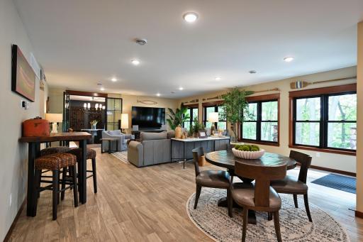 Lower level family room