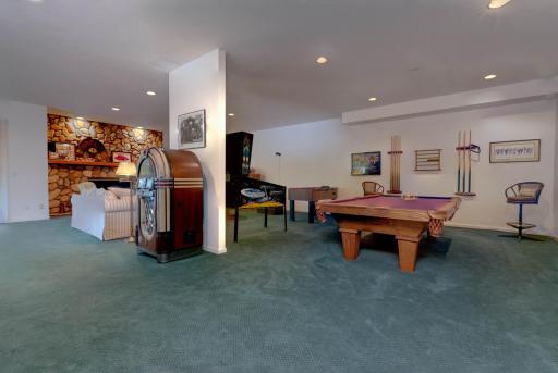 Lower level family and entertainment room