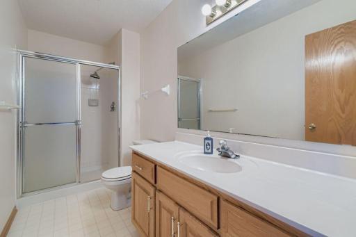 Lower level 3/4 bath