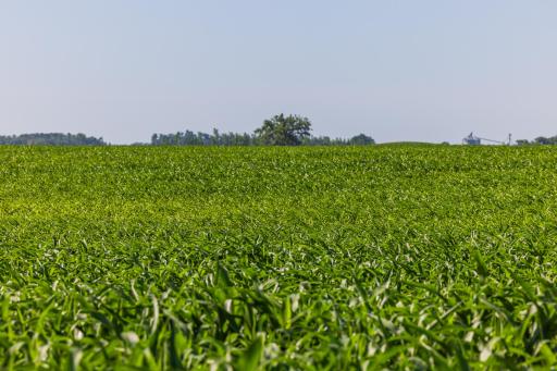 TBD Hwy 32, Enderlin, ND 58027