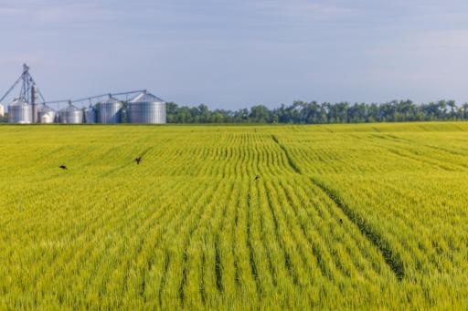 TBD Hwy 32, Enderlin, ND 58027