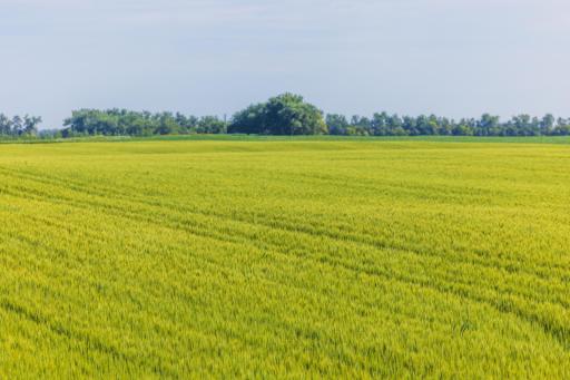 TBD Hwy 32, Enderlin, ND 58027