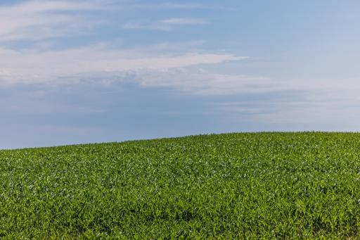 TBD Hwy 32, Enderlin, ND 58027