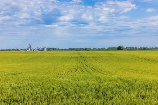 TBD Hwy 32, Enderlin, ND 58027