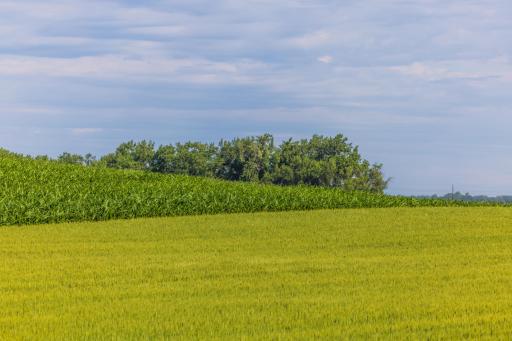 TBD Hwy 32, Enderlin, ND 58027
