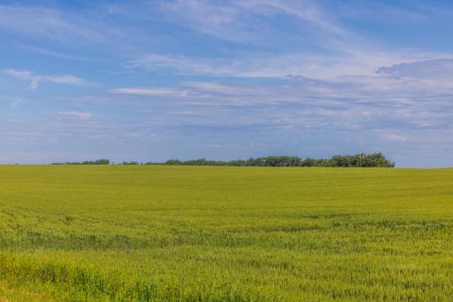 TBD Hwy 32, Enderlin, ND 58027