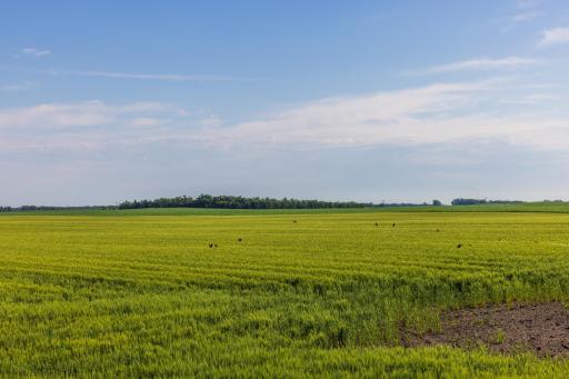 TBD Hwy 32, Enderlin, ND 58027
