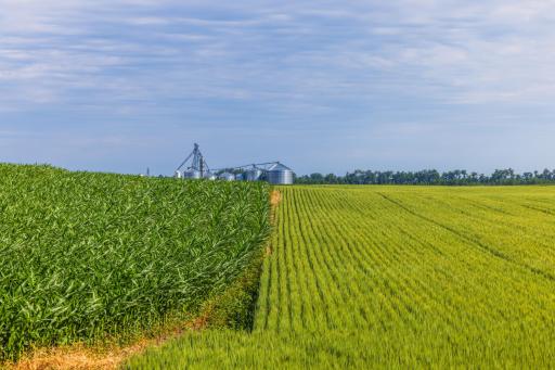 TBD Hwy 32, Enderlin, ND 58027