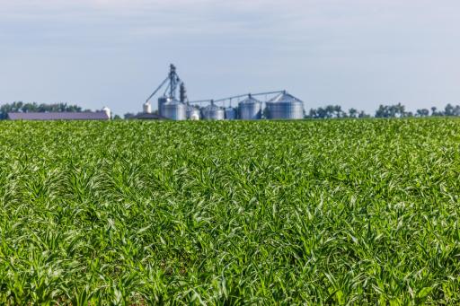 TBD Hwy 32, Enderlin, ND 58027