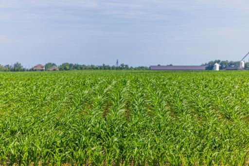 TBD Hwy 32, Enderlin, ND 58027