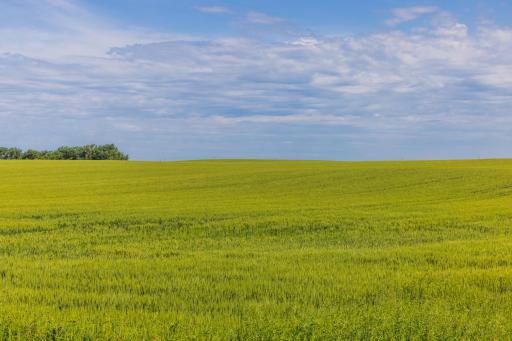 TBD Hwy 32, Enderlin, ND 58027
