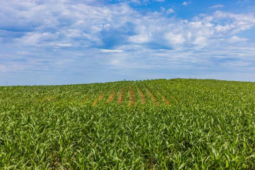 TBD Hwy 32, Enderlin, ND 58027