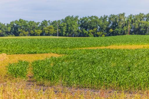 TBD Hwy 32, Enderlin, ND 58027