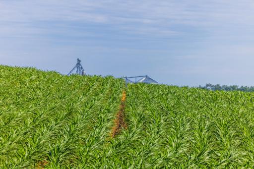 TBD Hwy 32, Enderlin, ND 58027