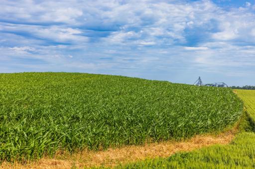 TBD Hwy 32, Enderlin, ND 58027