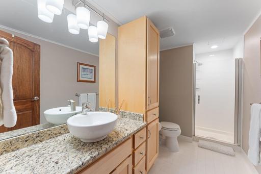 168 6th Street E, 3606, Saint Paul, MN 55101