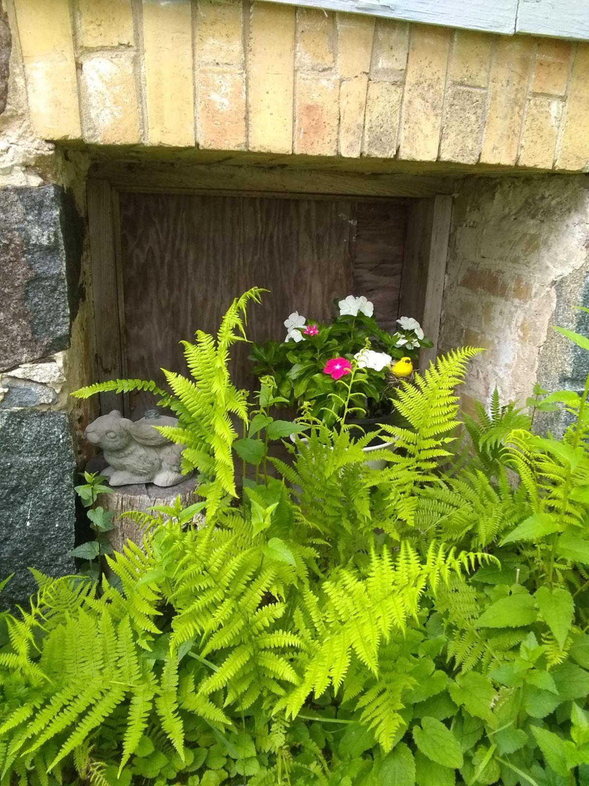 Landscaping in summer