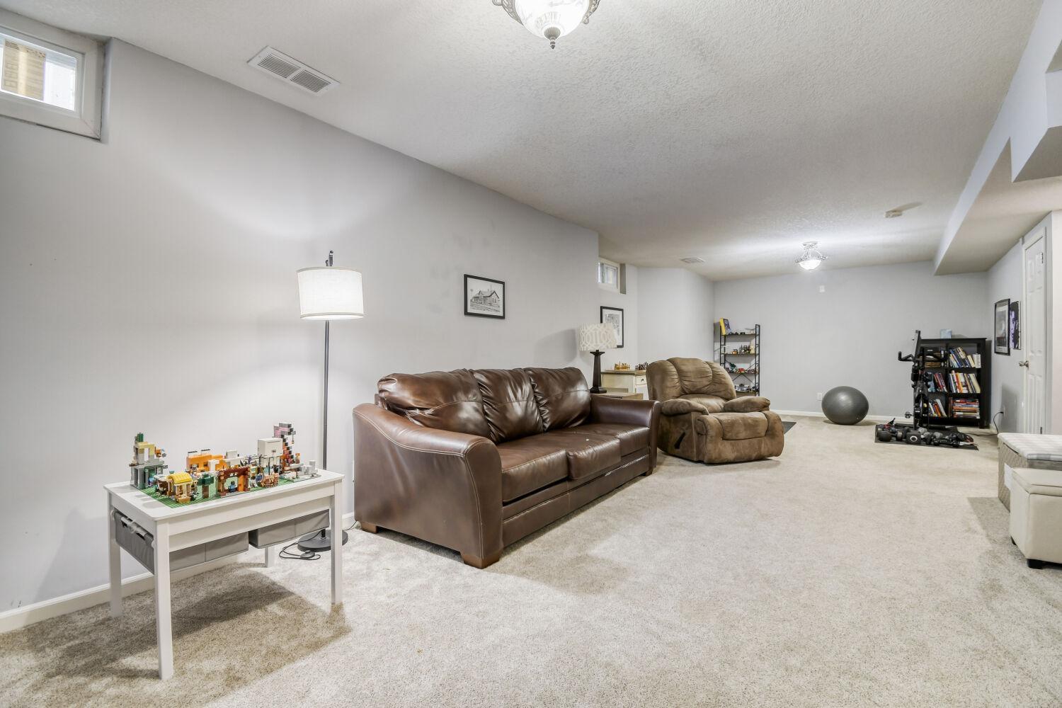 Lower Level Great For Hanging Out Or Working Out!